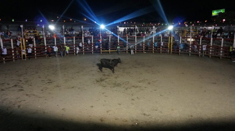 Varía horario de los toros este fin de semana de cierre