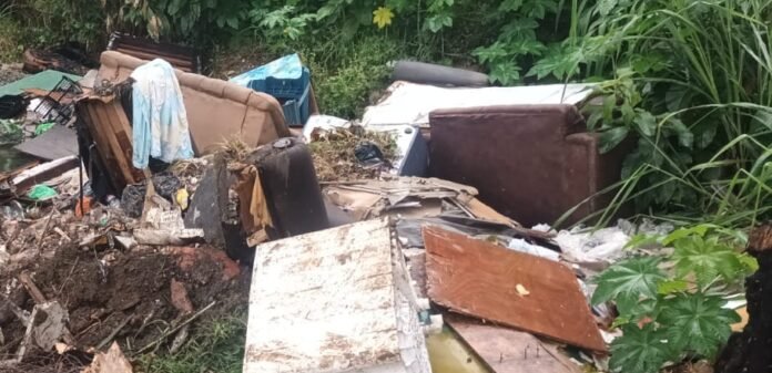 WhatsApp Image 2025-08-13 at 9.09.20 AM