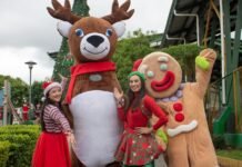 Noche de luces en Alajuelita será el sábado 29 de noviembre