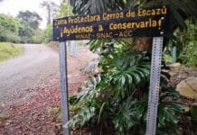 Convocan a alajueliteños a opinar sobre el futuro de los Cerros de Escazú