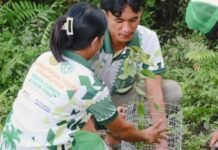youth climate foundation