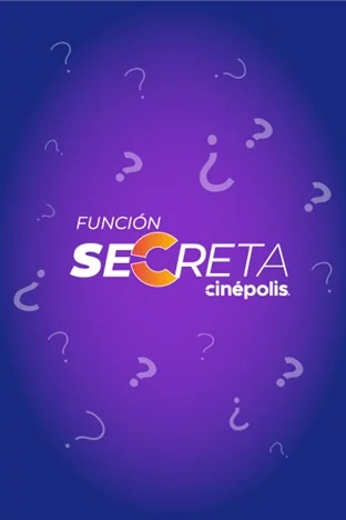 Afiche de Función secreta 15